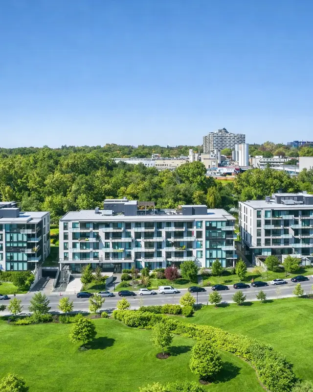 Bellevue