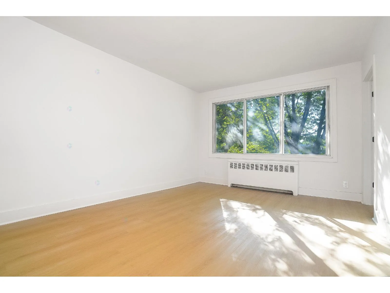 27 Imelda-Millette — photo 8 of 14